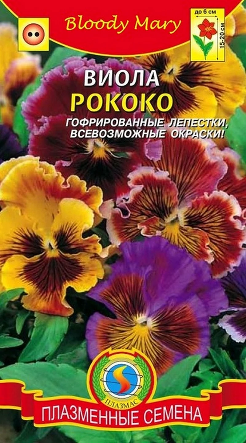 Виола рококо смесь