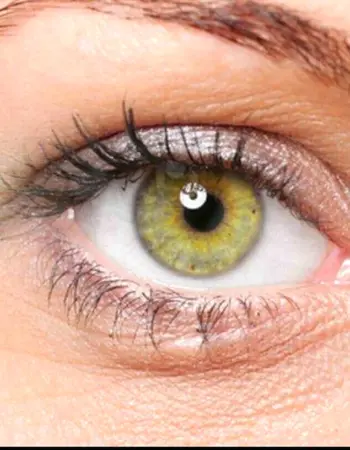 Желто зеленые глаза