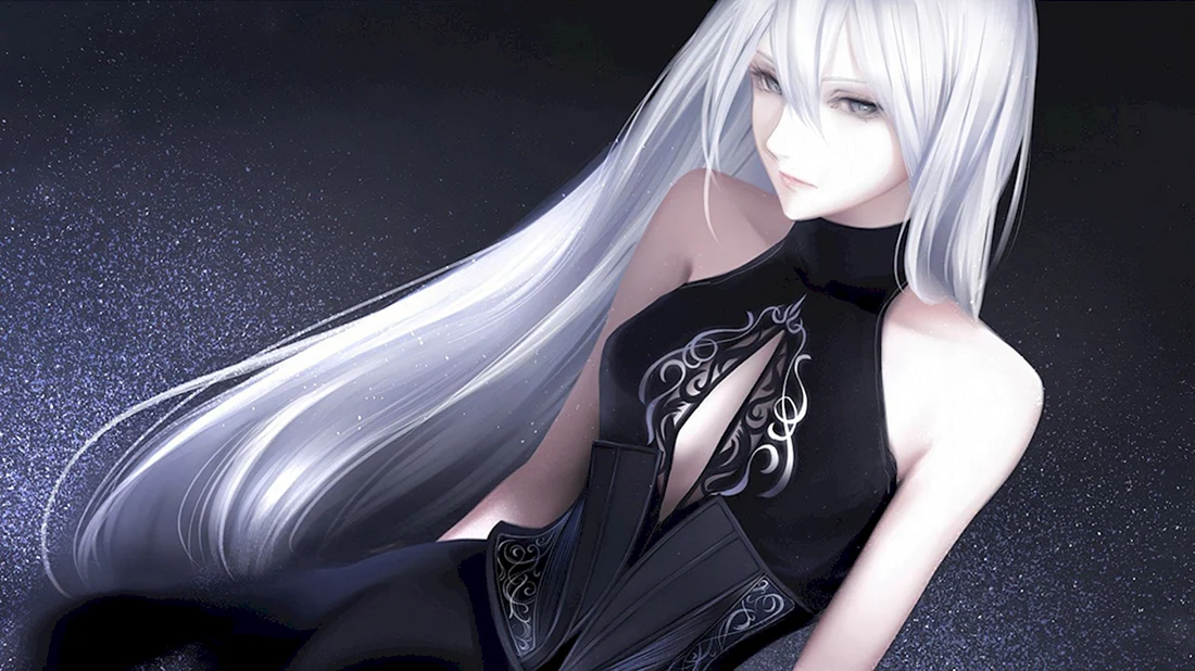 А2 ниер