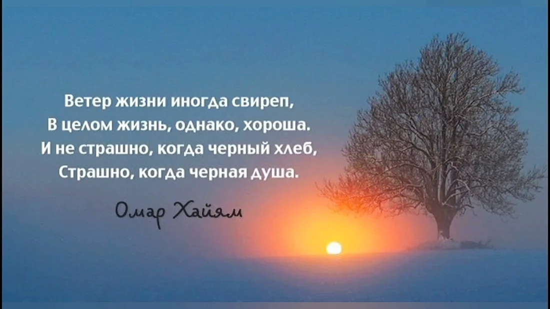 Афоризмы про жизнь