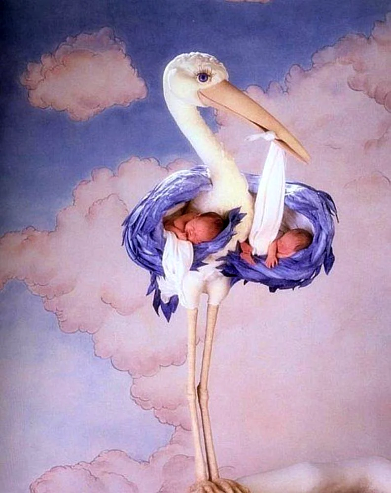 Аист с младенцем