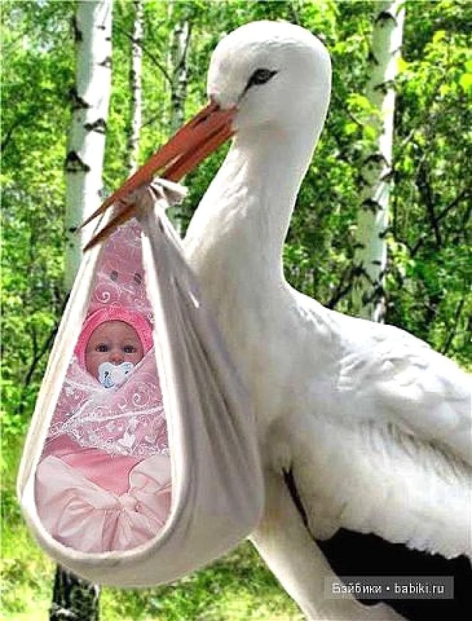 Аист с ребенком
