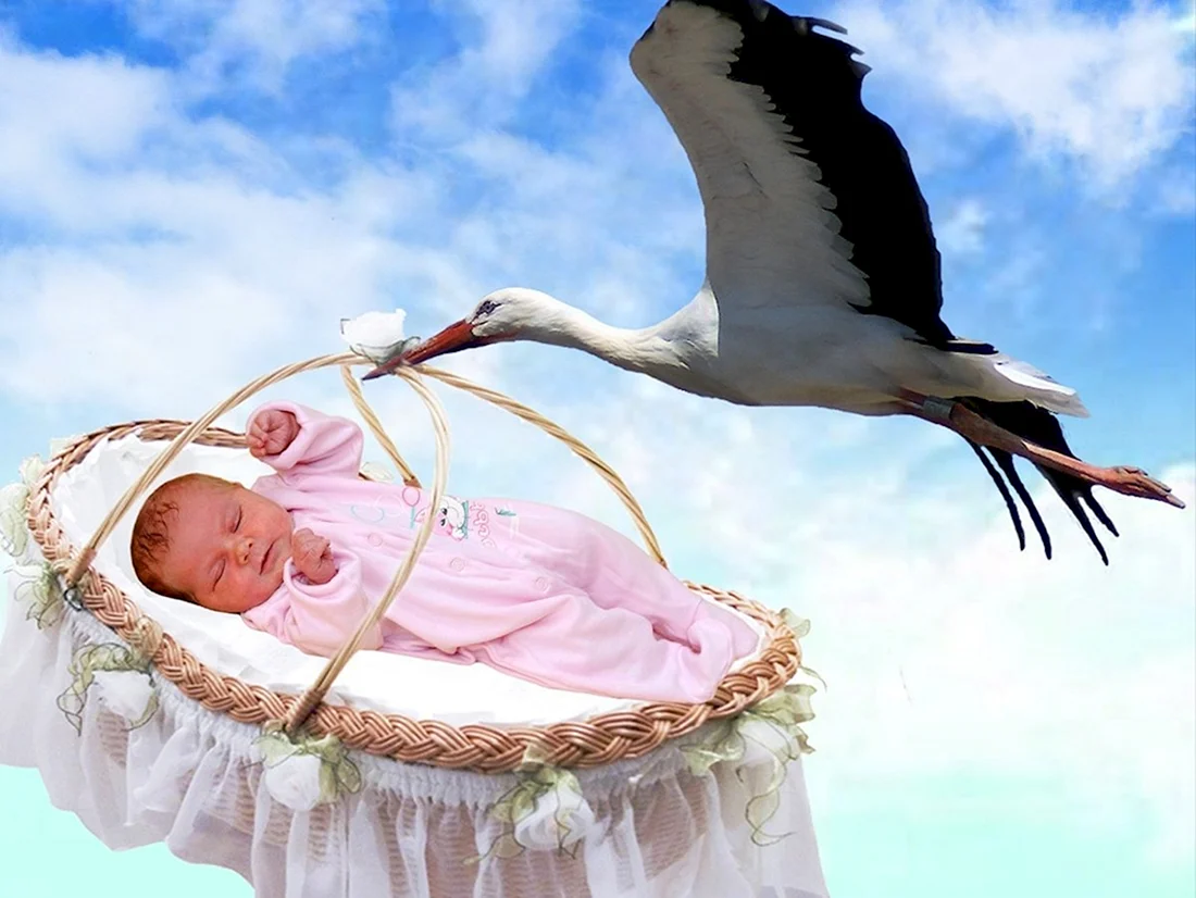 Аист с ребенком