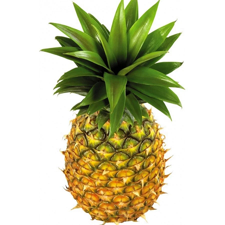 Ананас ananas