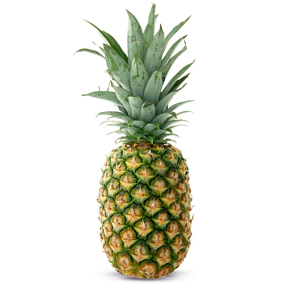 Ананас FRUNET