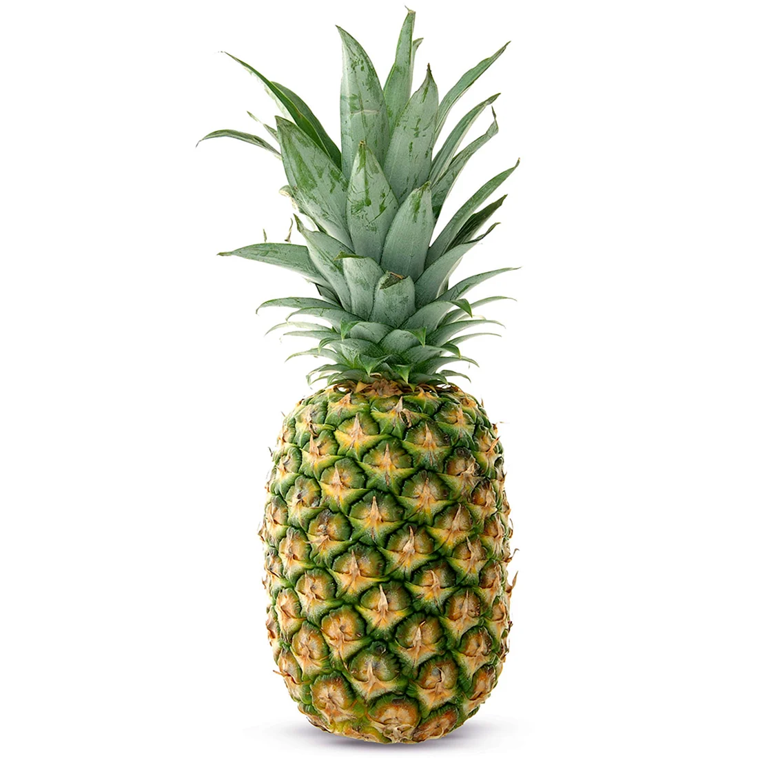 Ананас FRUNET