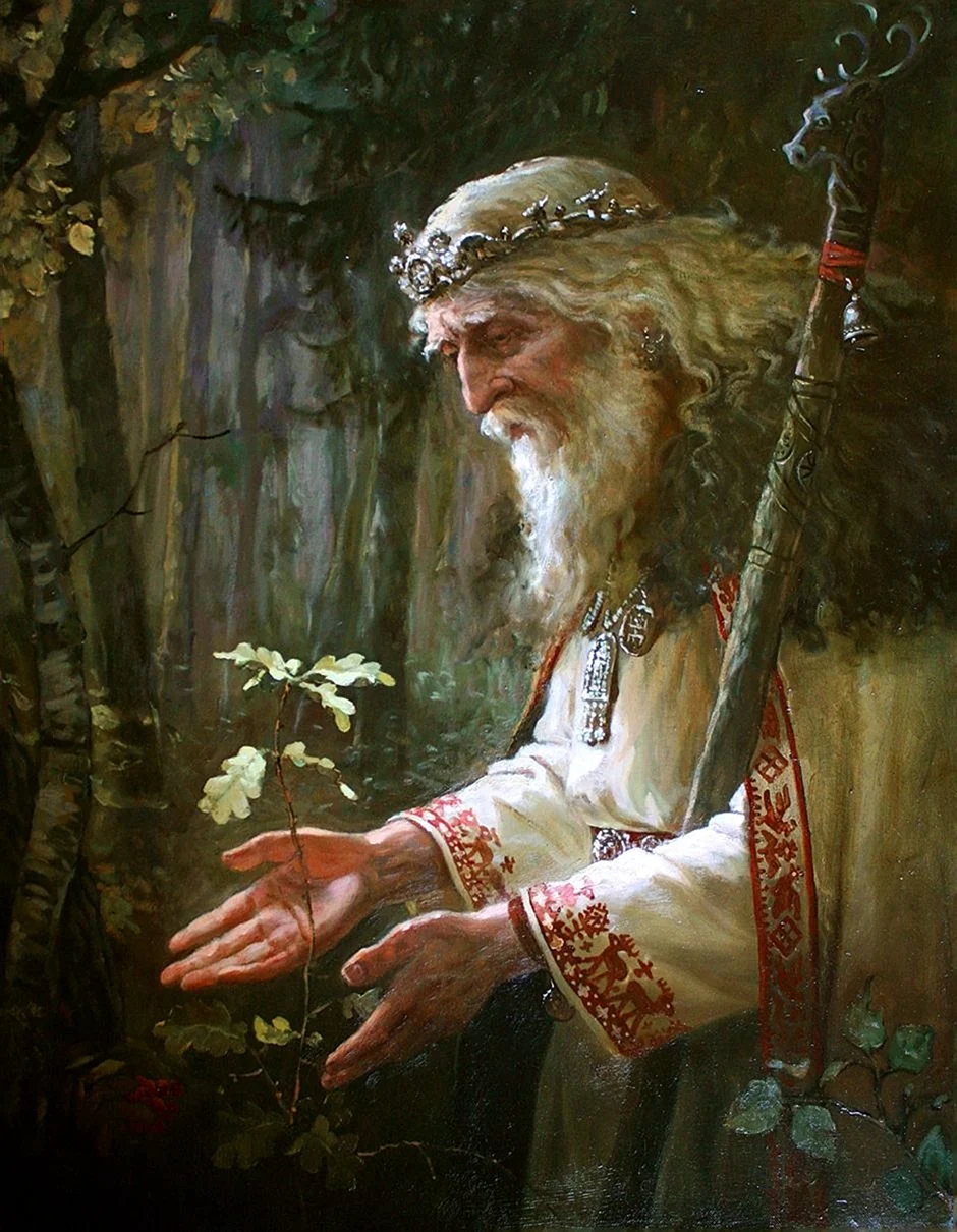 Андрей Шишкин Святибор