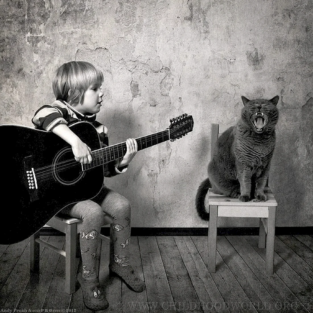 Andy Prokh