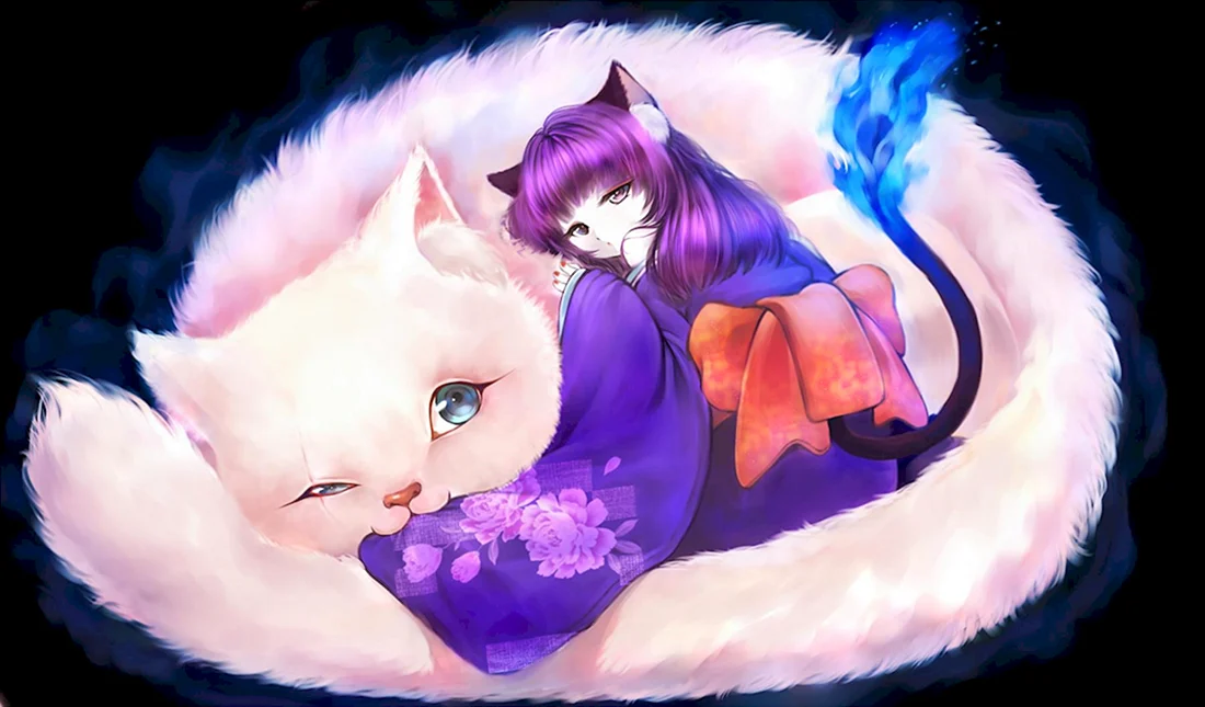Аниме кошки