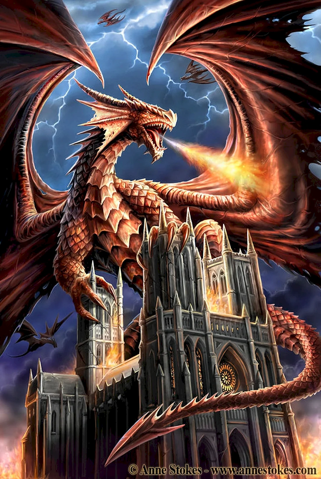 Anne Stokes драконы