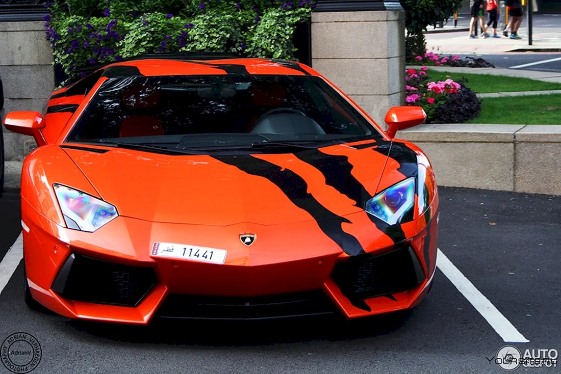 Авентадор lp700