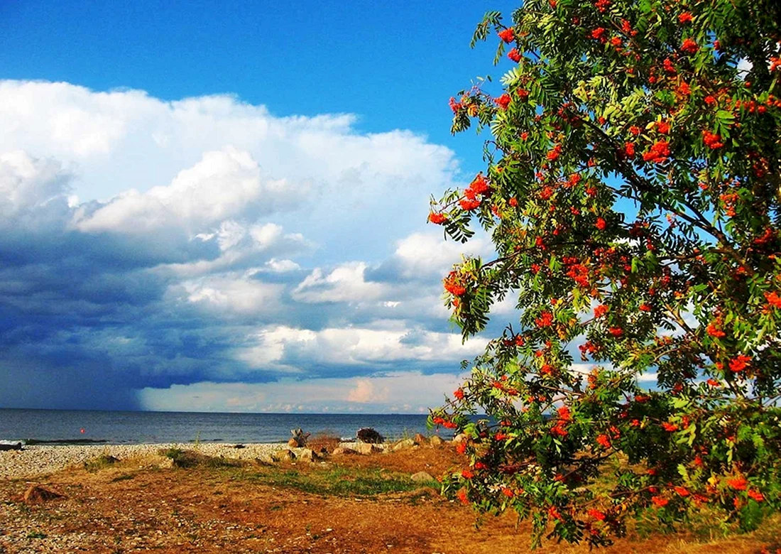 Август природа