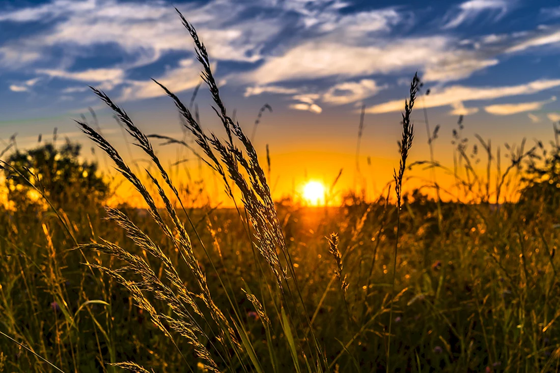 Август природа