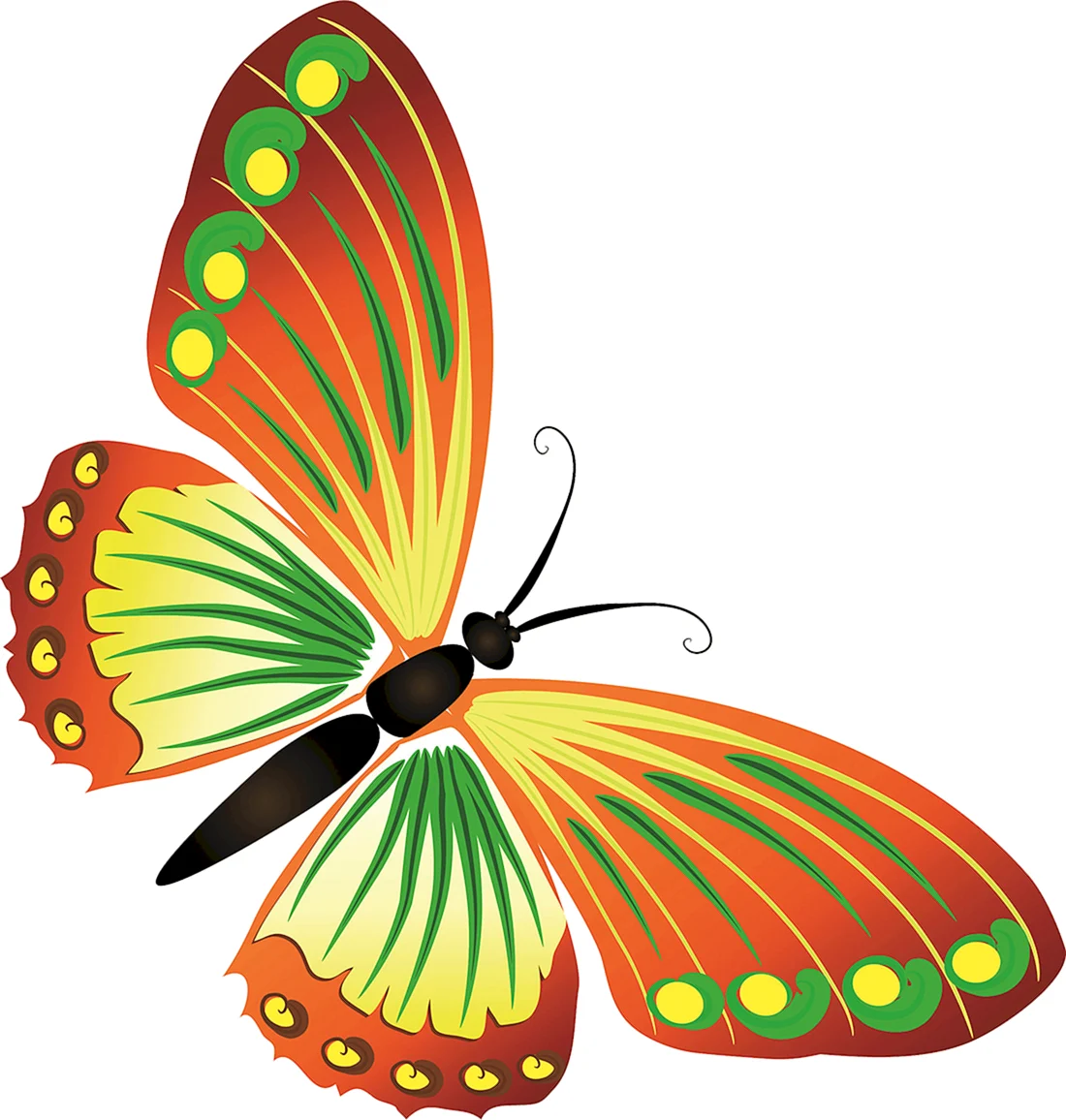 Butterfly vector: изображения без лицензионных платежей