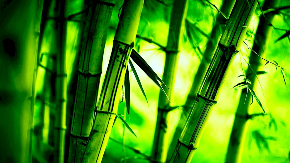 Bamboo nature 119х60х11