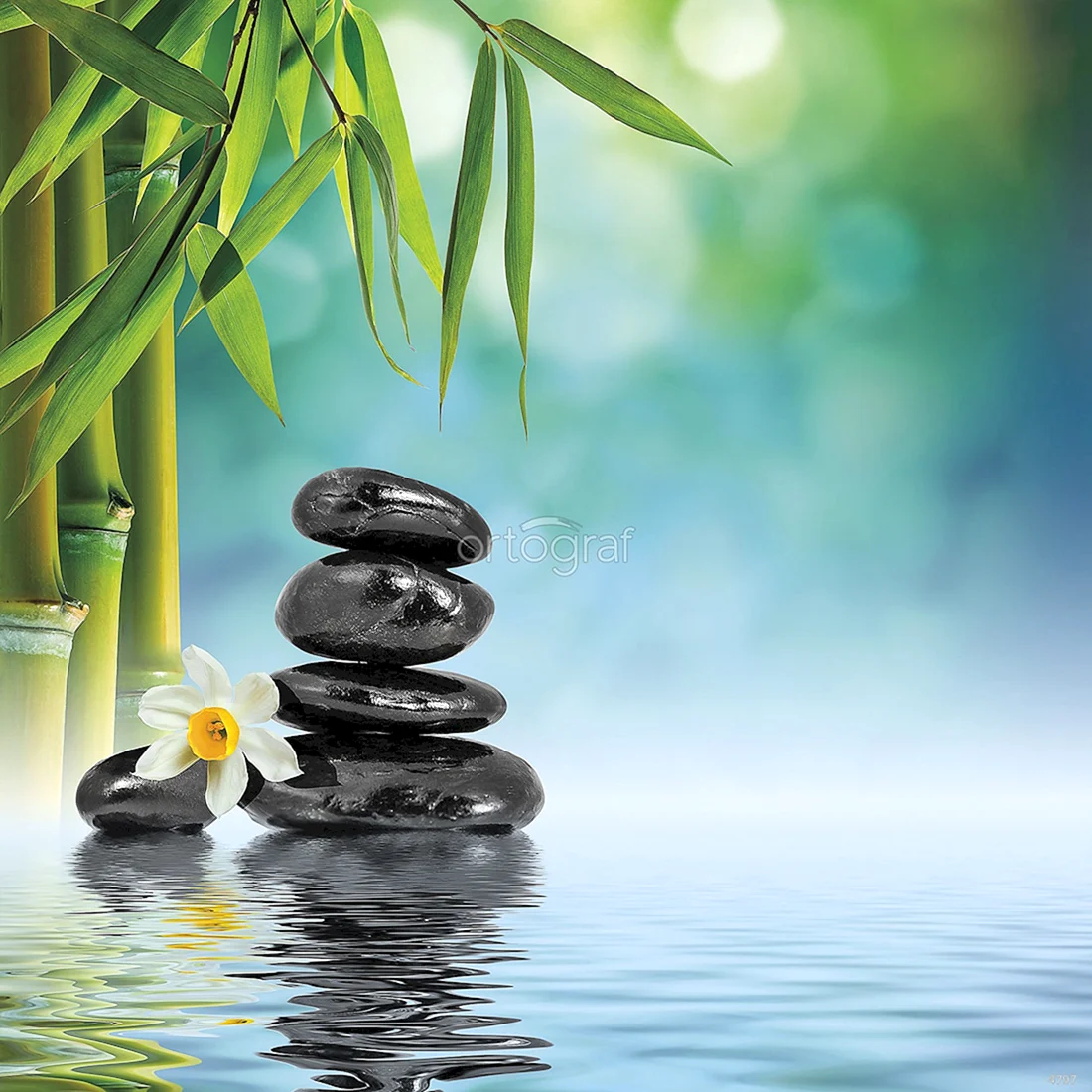 Бамбук и камни
