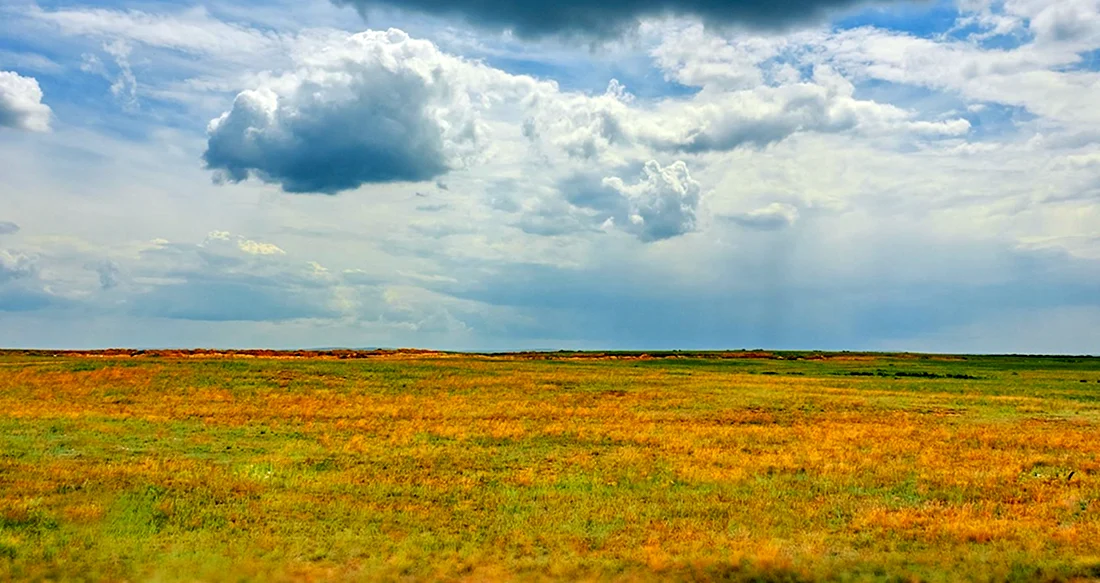 Барабинская степь