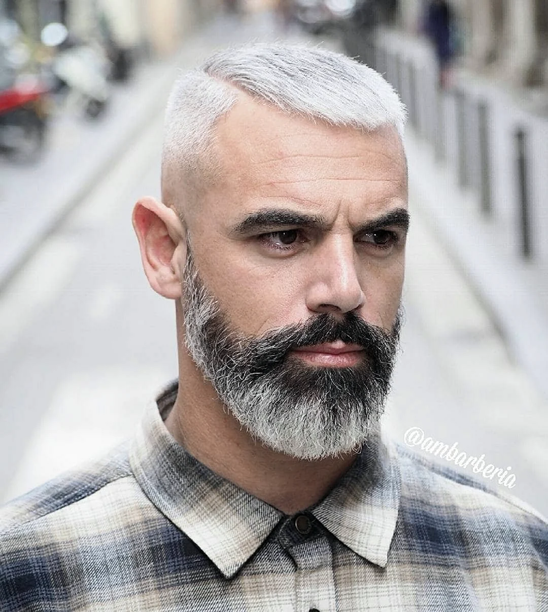 Беард грей