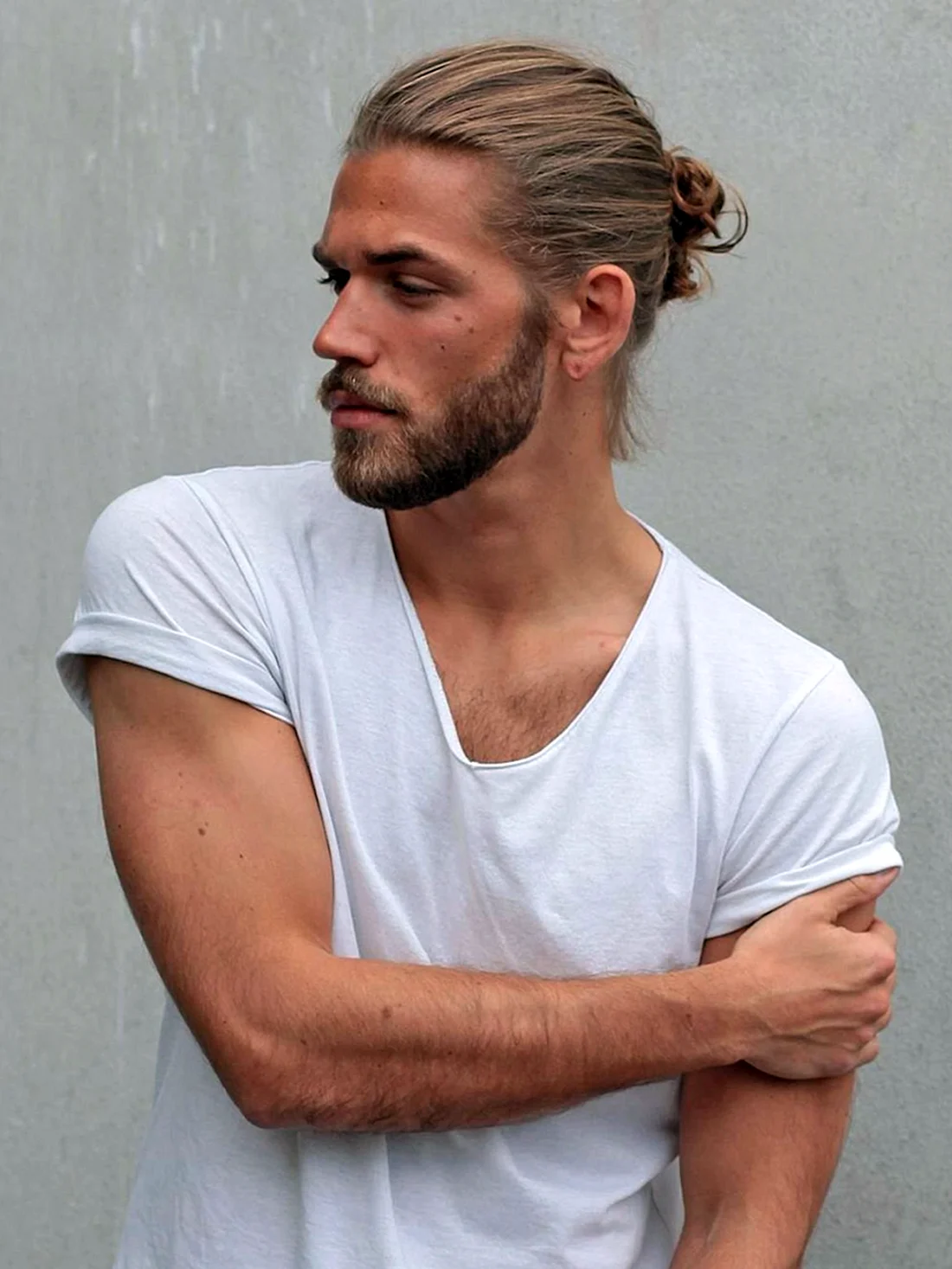 Ben Dahlhaus модель