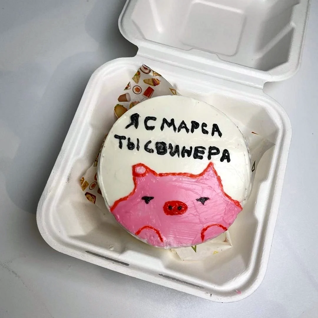Бенто торт я с Марса а ты свинера