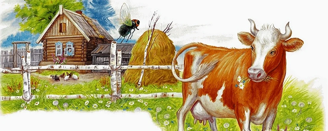 Бианки хвосты корова