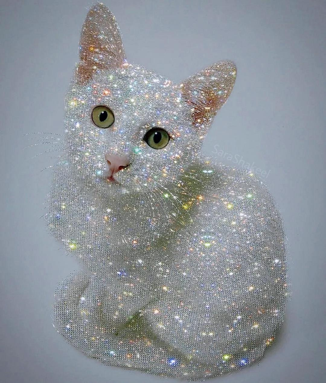 Блестящий кот