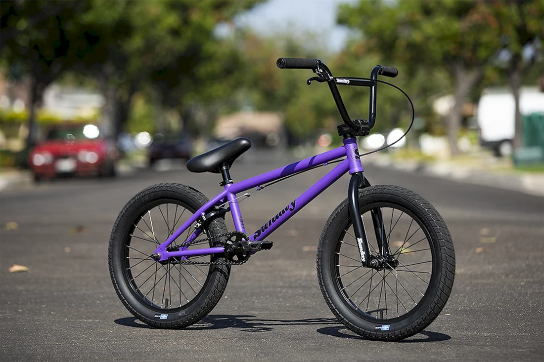 BMX Pulse v117