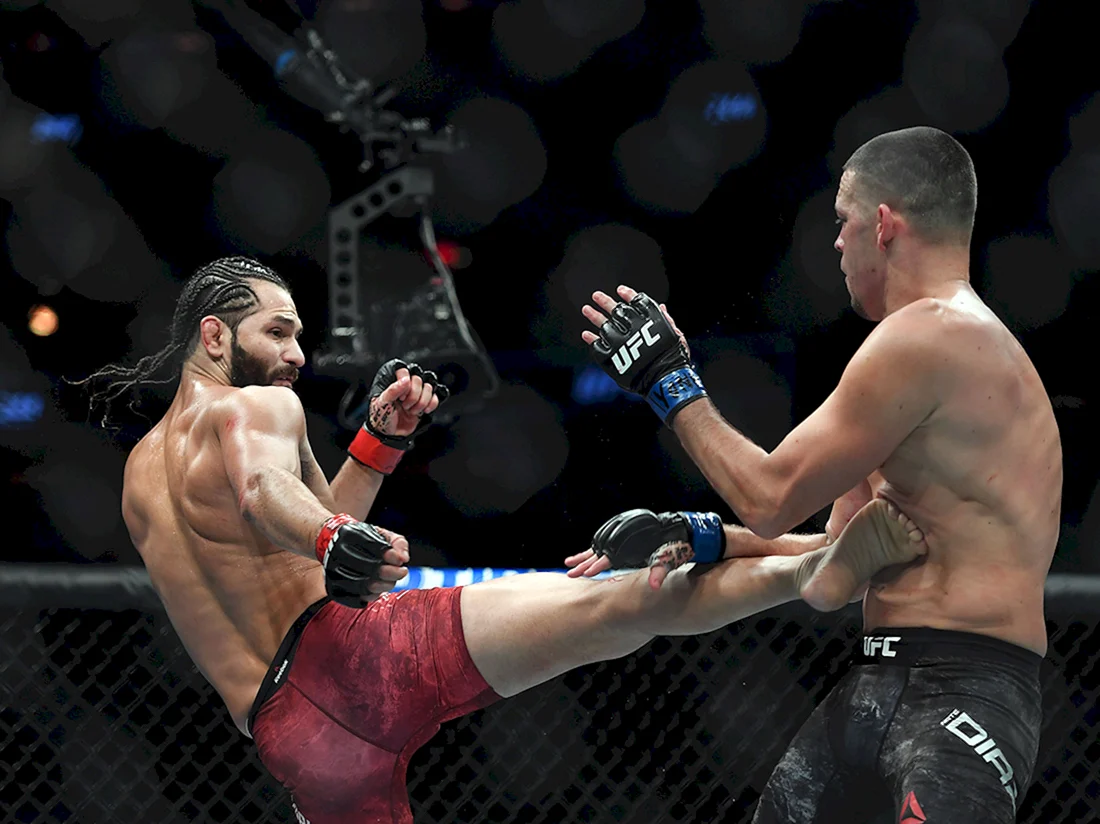 Боец UFC Хорхе Масвидаль