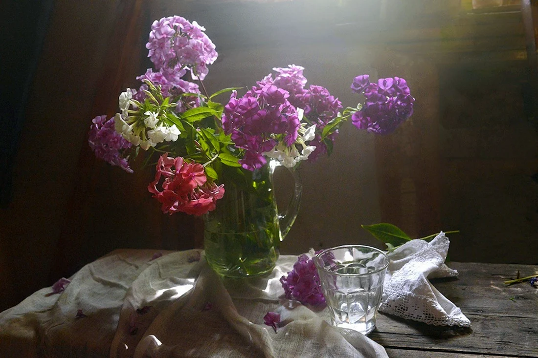 Букет из флоксов