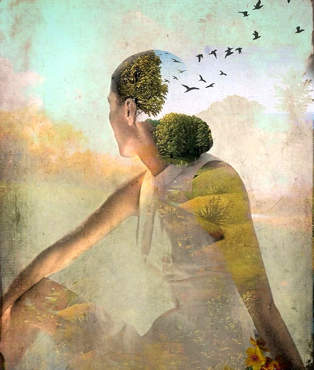 Catrin Welz-Stein картины