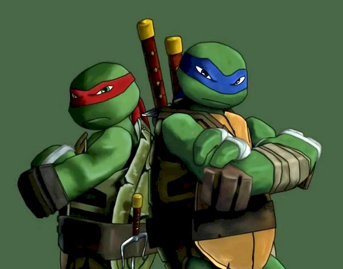 Черепашки-ниндзя 2012 Leo and Raph