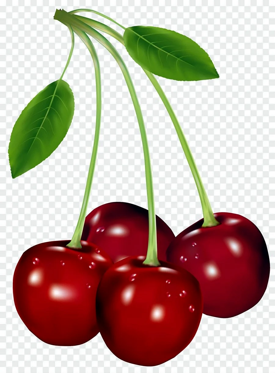 Черри вишня