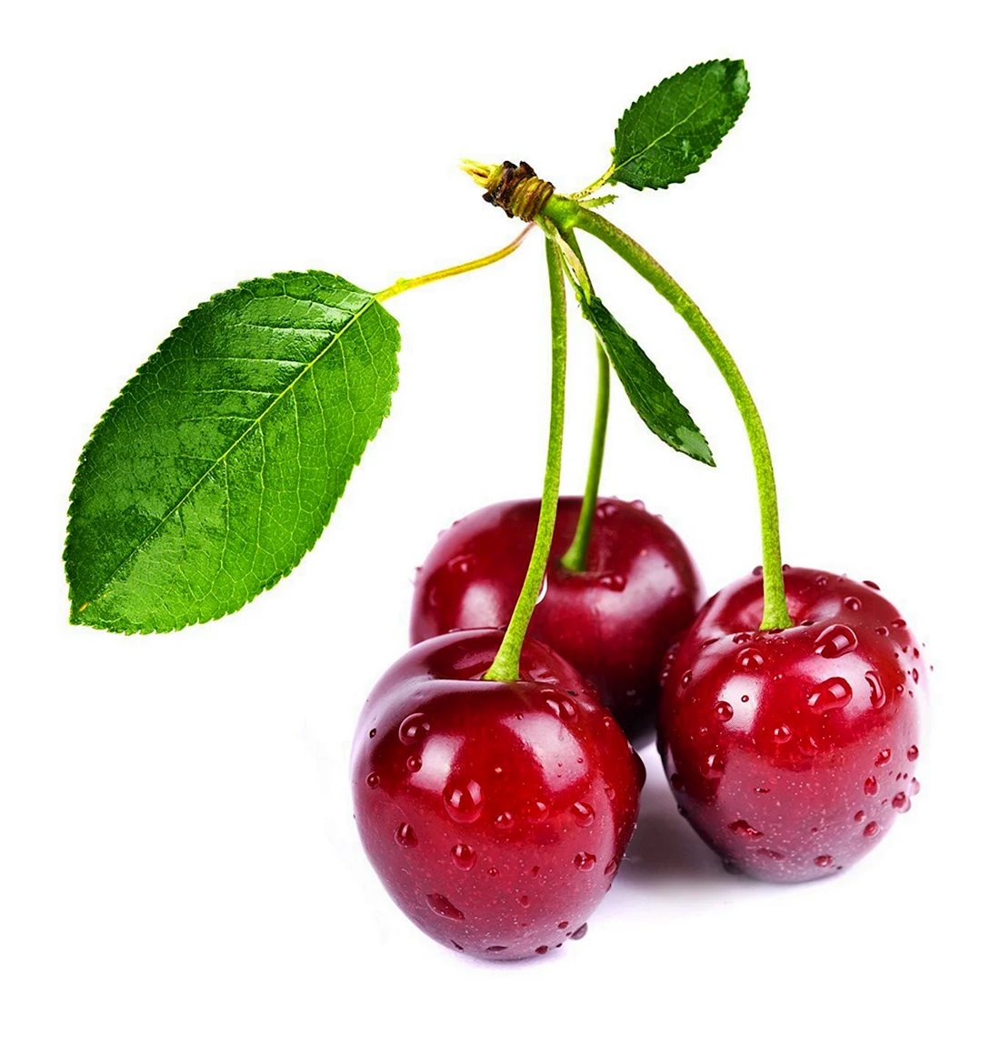 Черри вишня