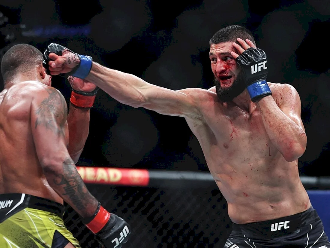 Чимаев боец UFC