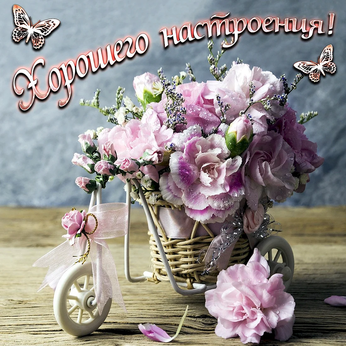 Чудесного дня и прекрасного настроения