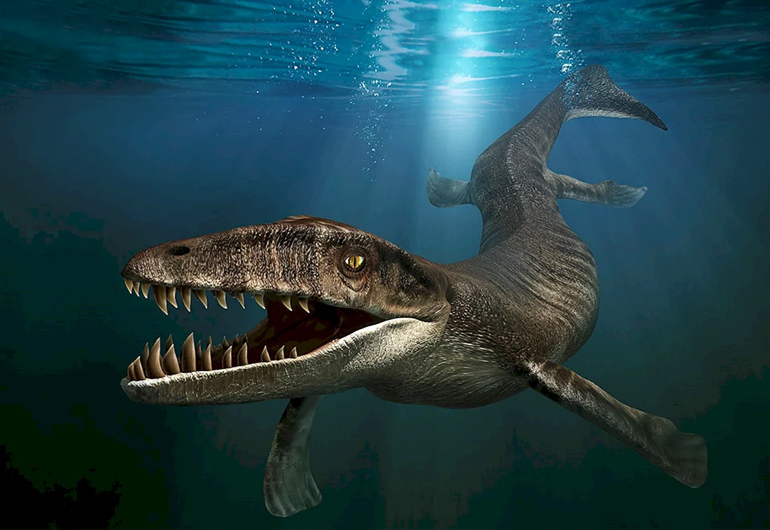 Дакозавр Dakosaurus