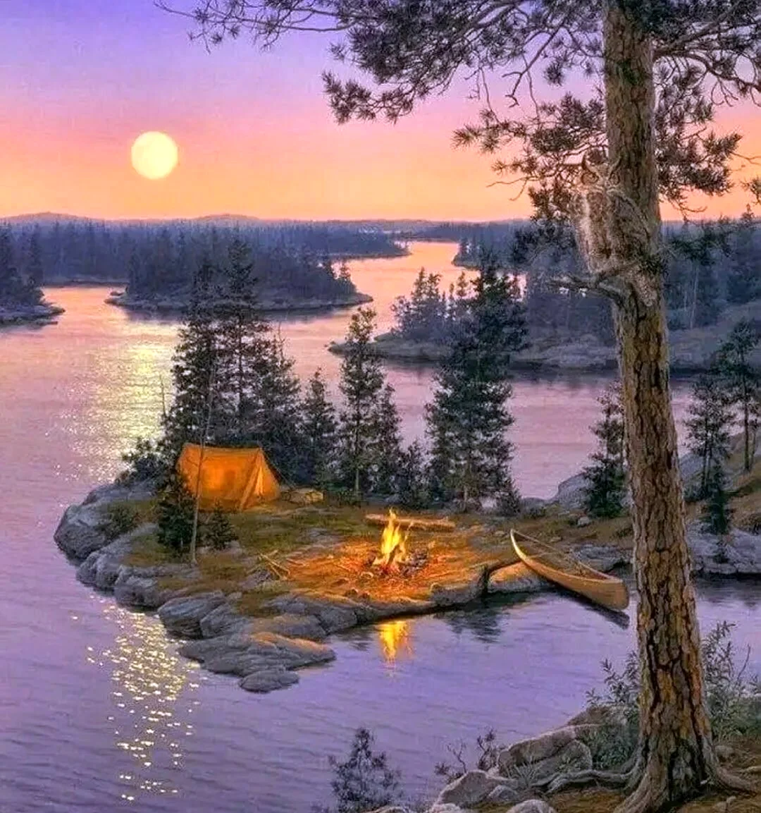 Даррелл Буш закат