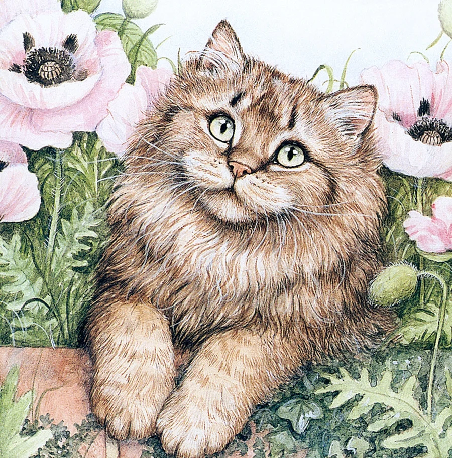 Дебби Кук кошки
