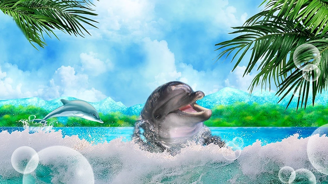 Дельфины в море