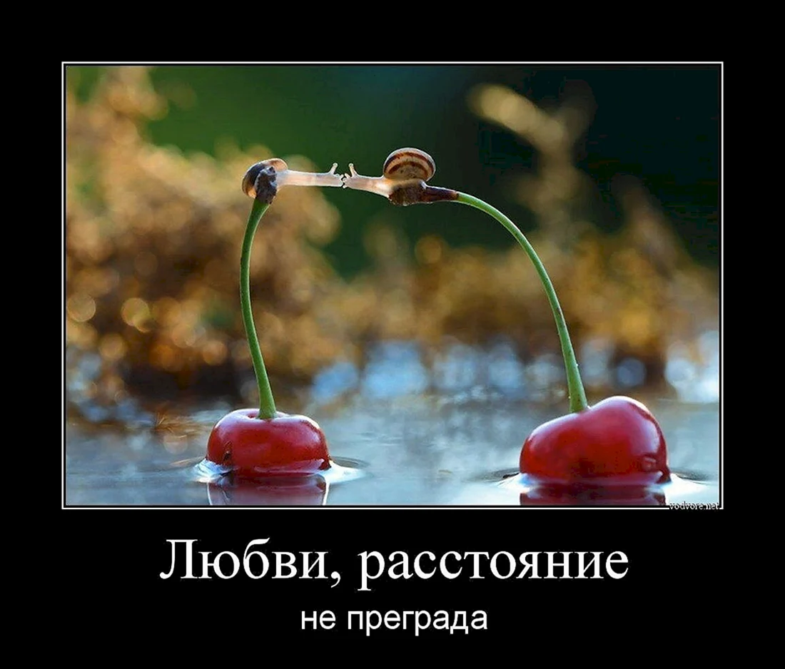 Демотиваторы про любовь