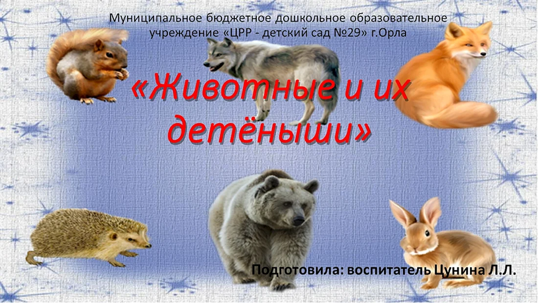 Дикие животные презентация
