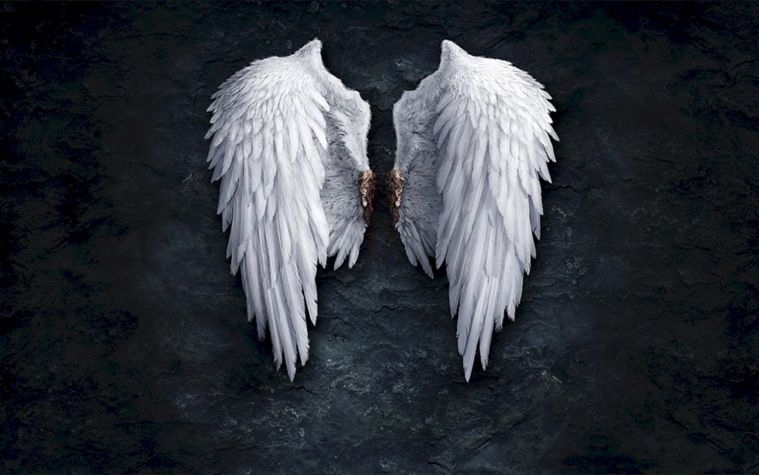 DMX Angel