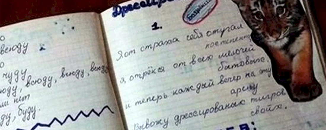 Дневник для девочек 90-х годов