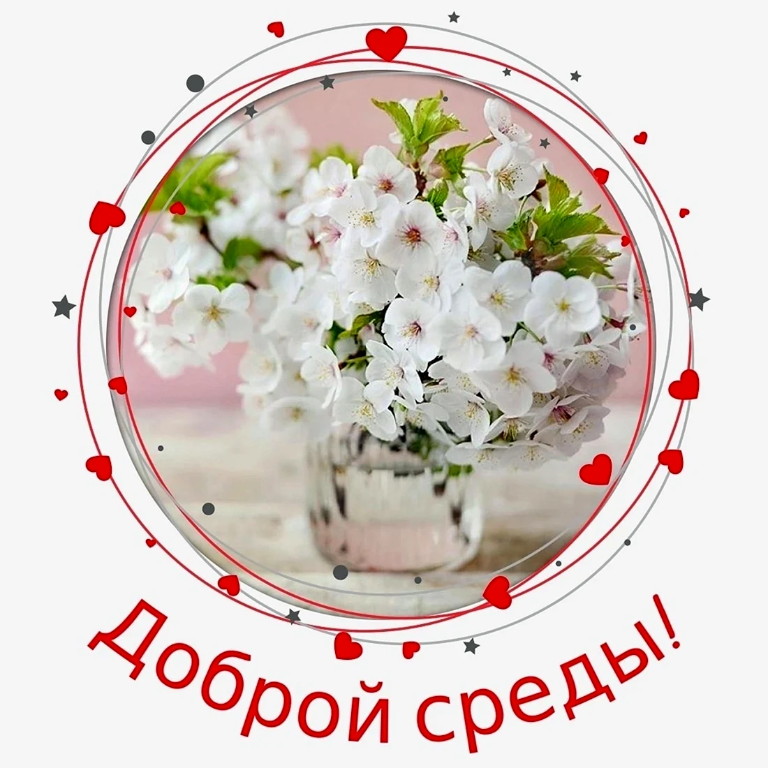 Доброе мартовское утро и хорошего дня