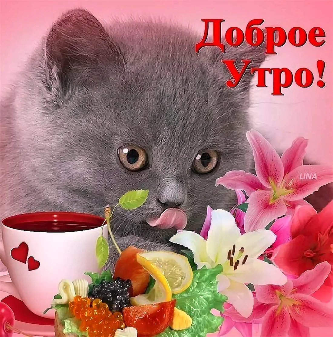 Доброе утро девушке