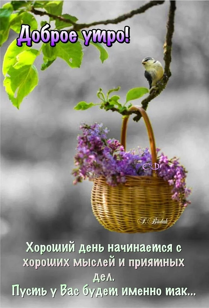 Доброе утро нежные пожелания красивые