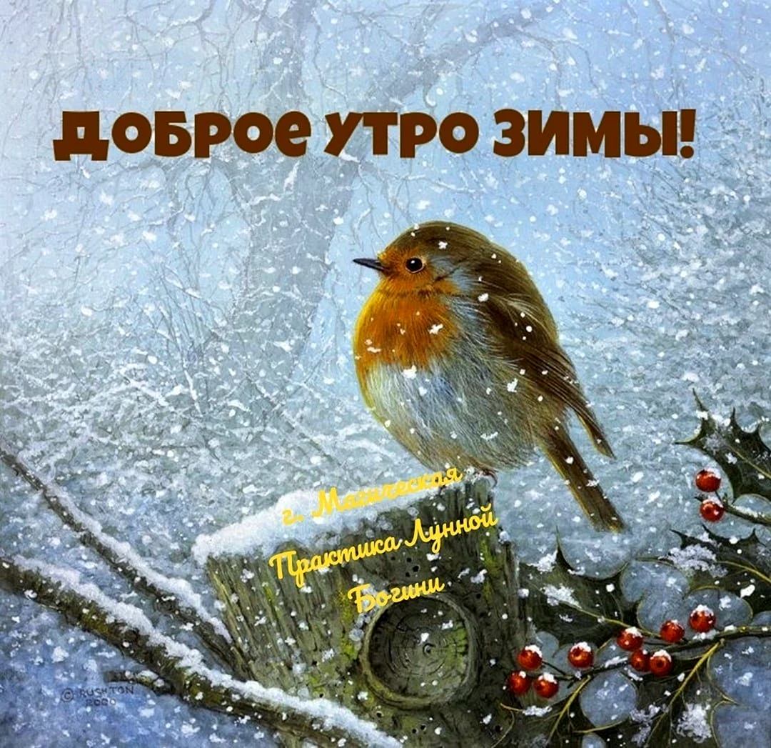 Доброе утро зима