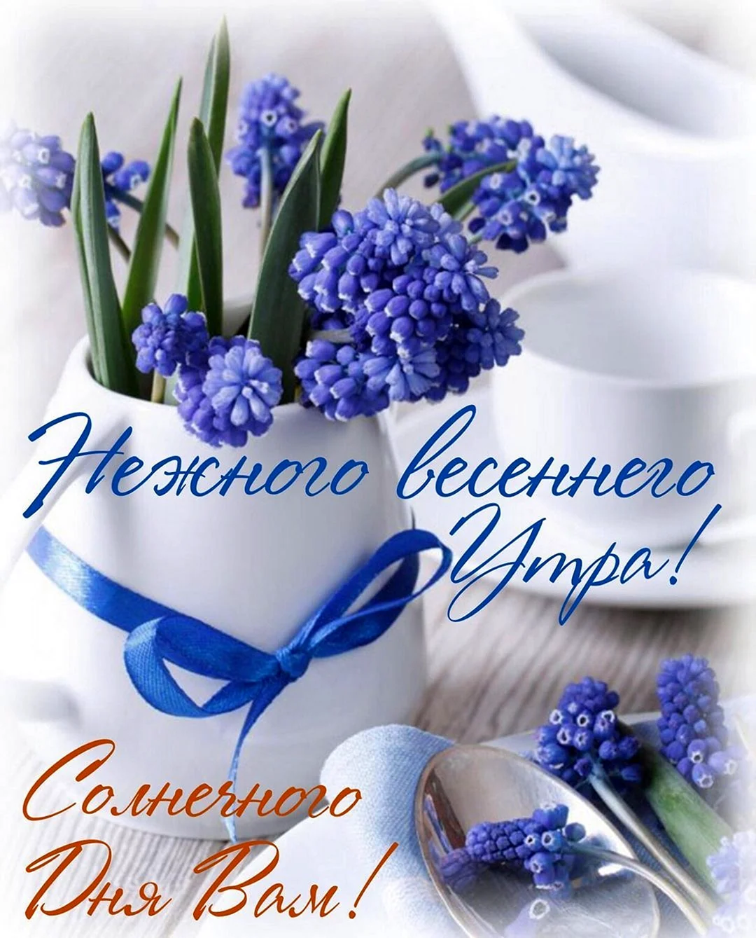 Доброе Весеннее утро хорошего дня