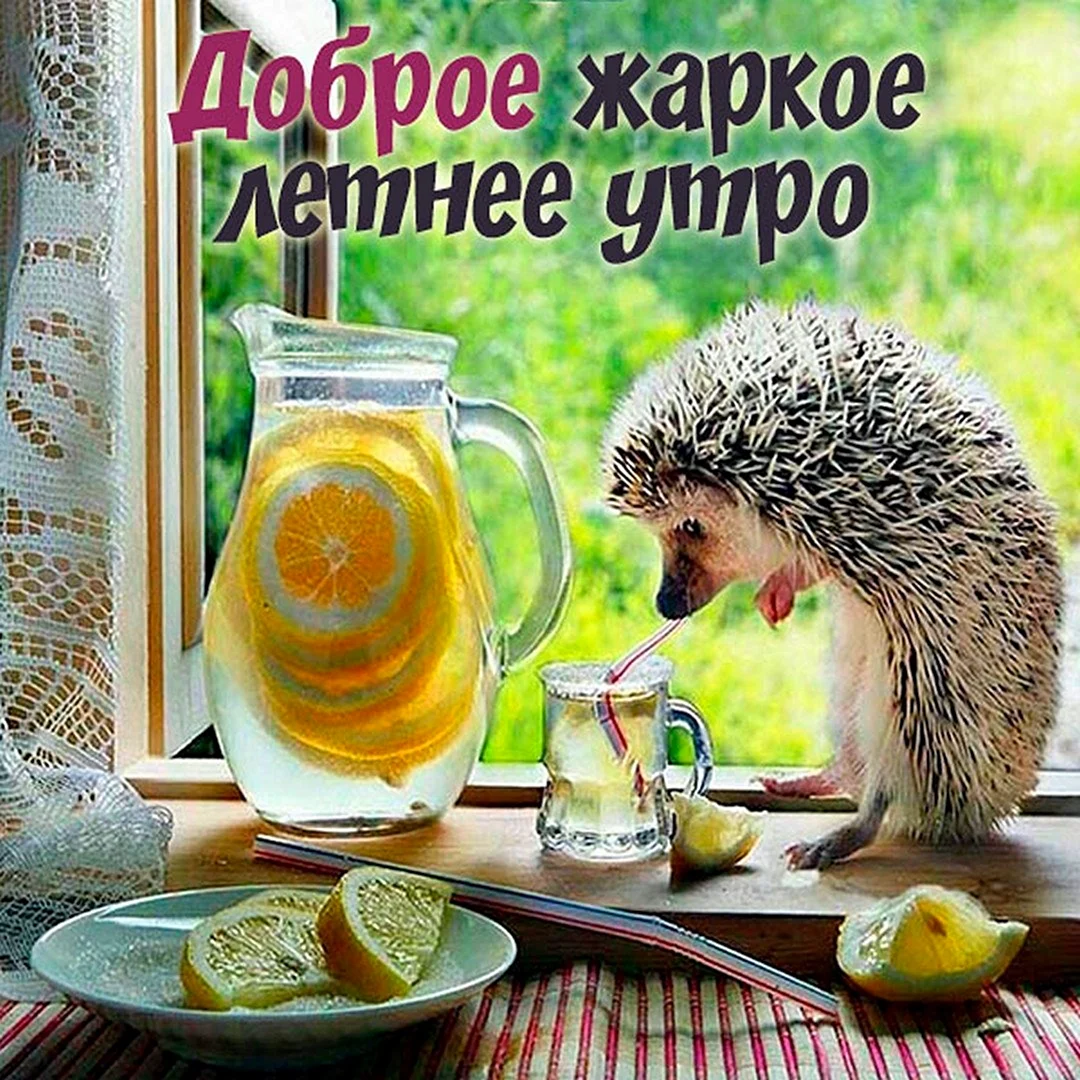 Доброе жаркое летнее утро