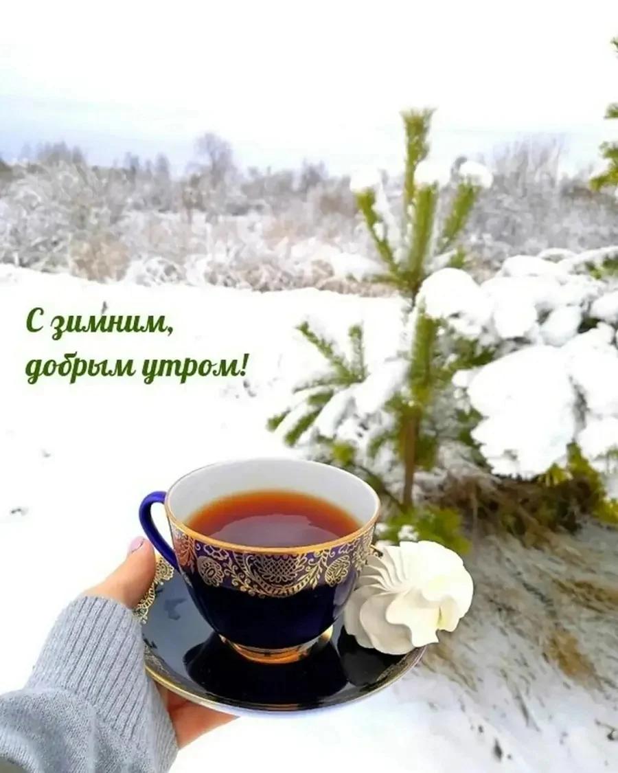 Доброе зимнее утро